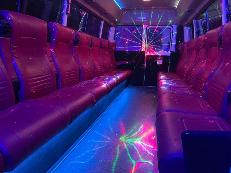 13 seater party bus Sydney