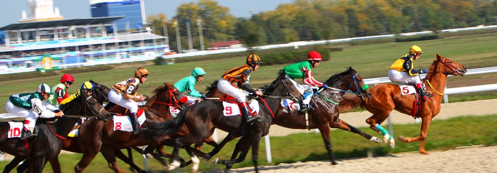 Rosehill & Randwick Races Tours