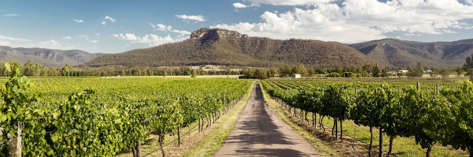 Beautiful Hunter Valley Scenic View