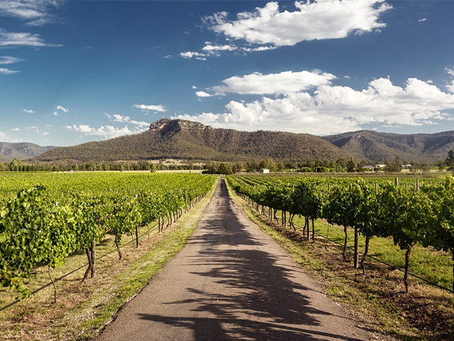 Package for Hunter Valley Winery Tour